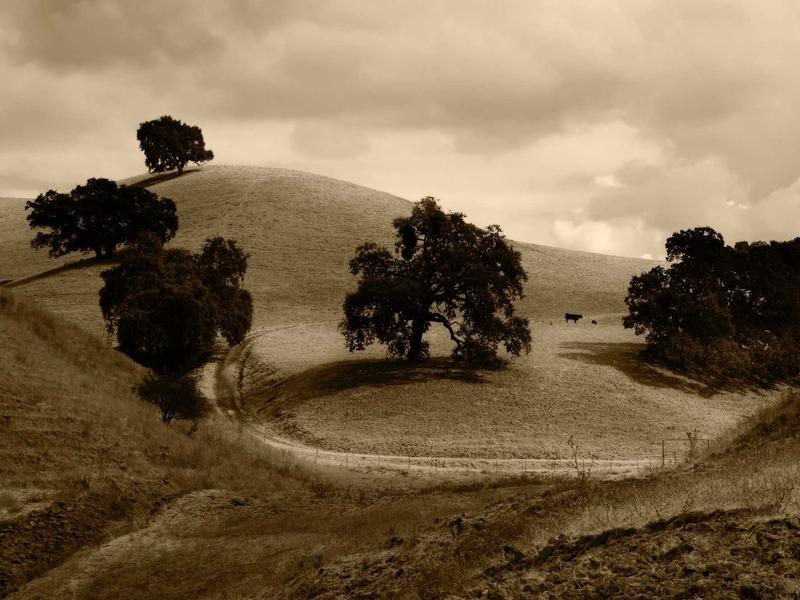 云图解密<br>hzldzsi.cn 星美451档案